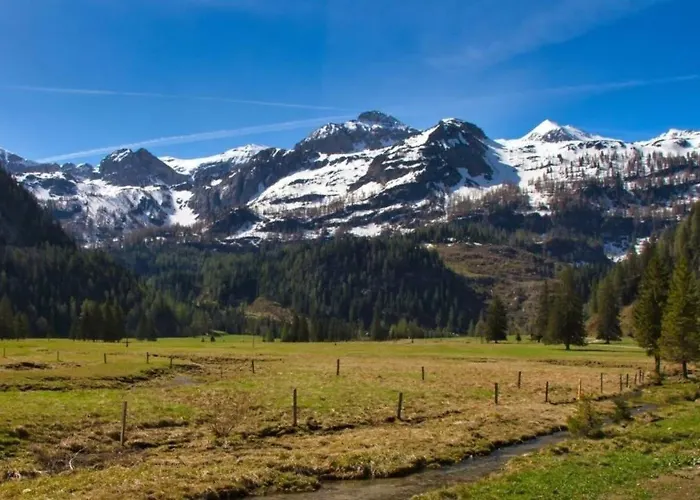 Gottschallalm Ferienhaus Untertauern
